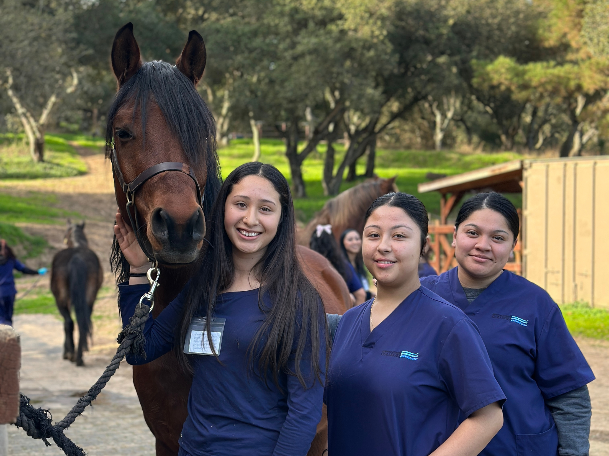 Veterinary Technology at CCC